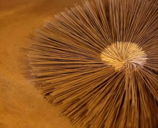 Décolorant au sucre de betterave PAM Polyacrylamide